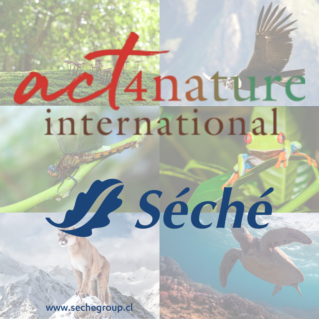 ActnatureInternationalHistoria