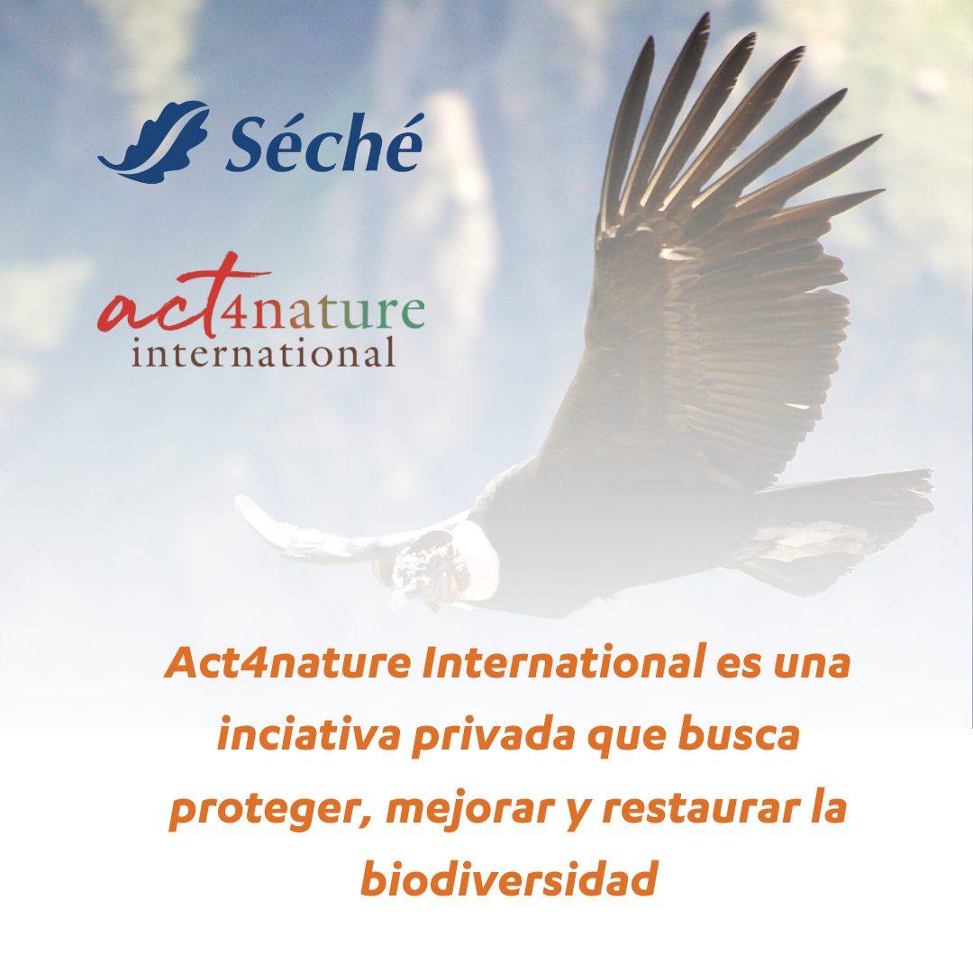 ActnatureInternationalSéchéprincipiosbase