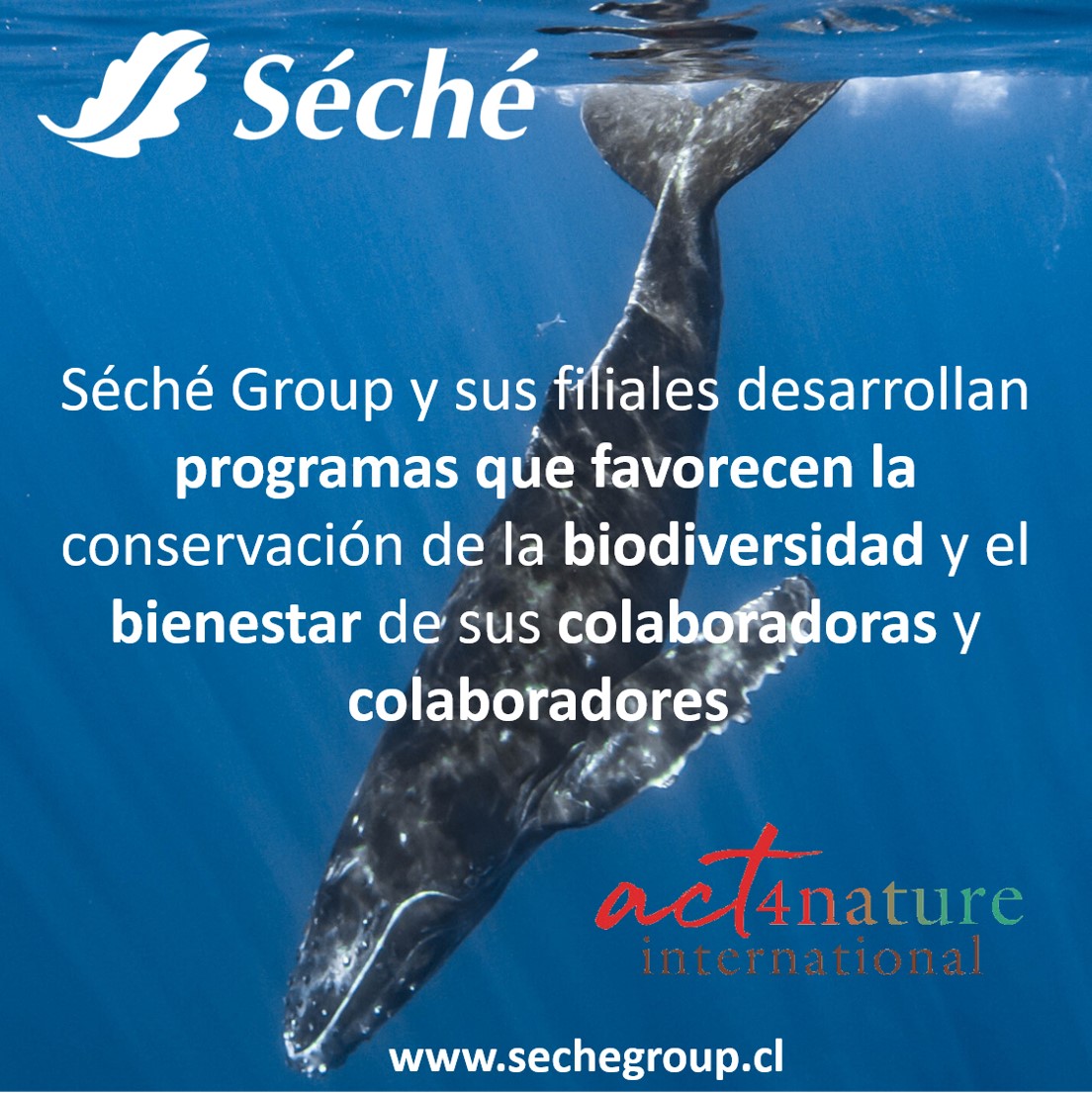 AccionesInternacionalActnatureInternational