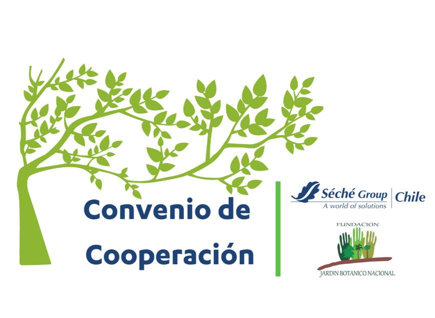 Seche Group Chile