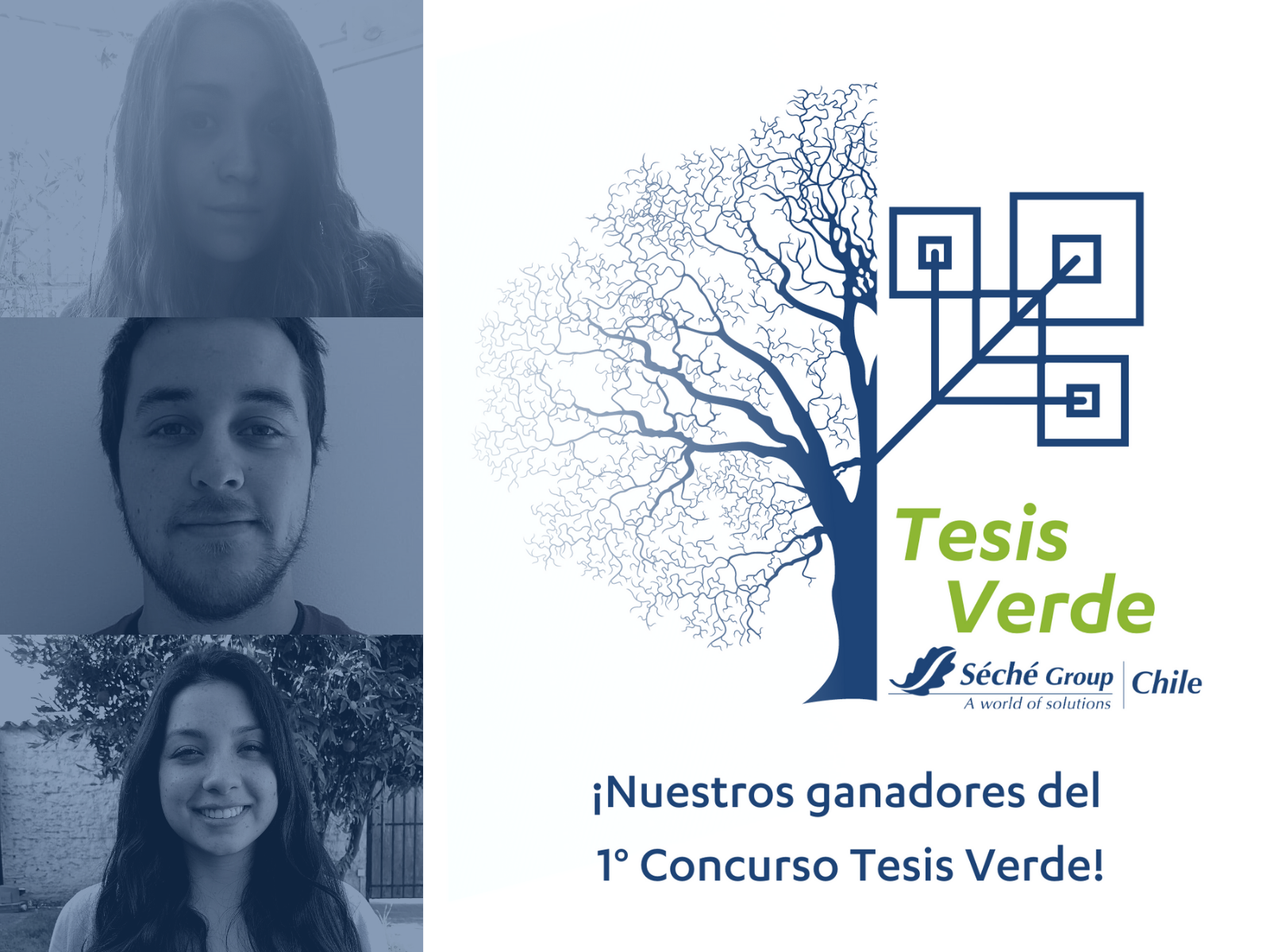 TesisVerde SecheGroupChile