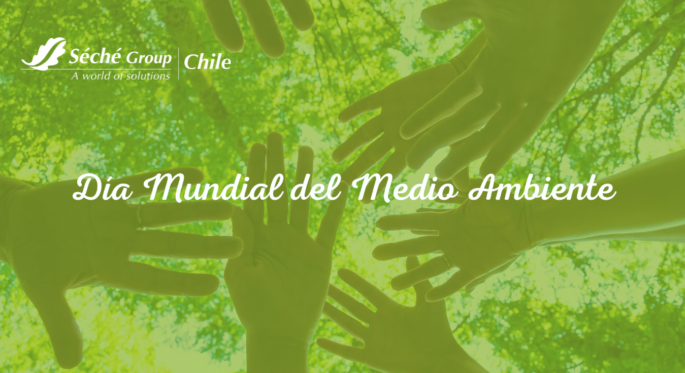 Dia mundial del medio ambiente Seche Group Chile