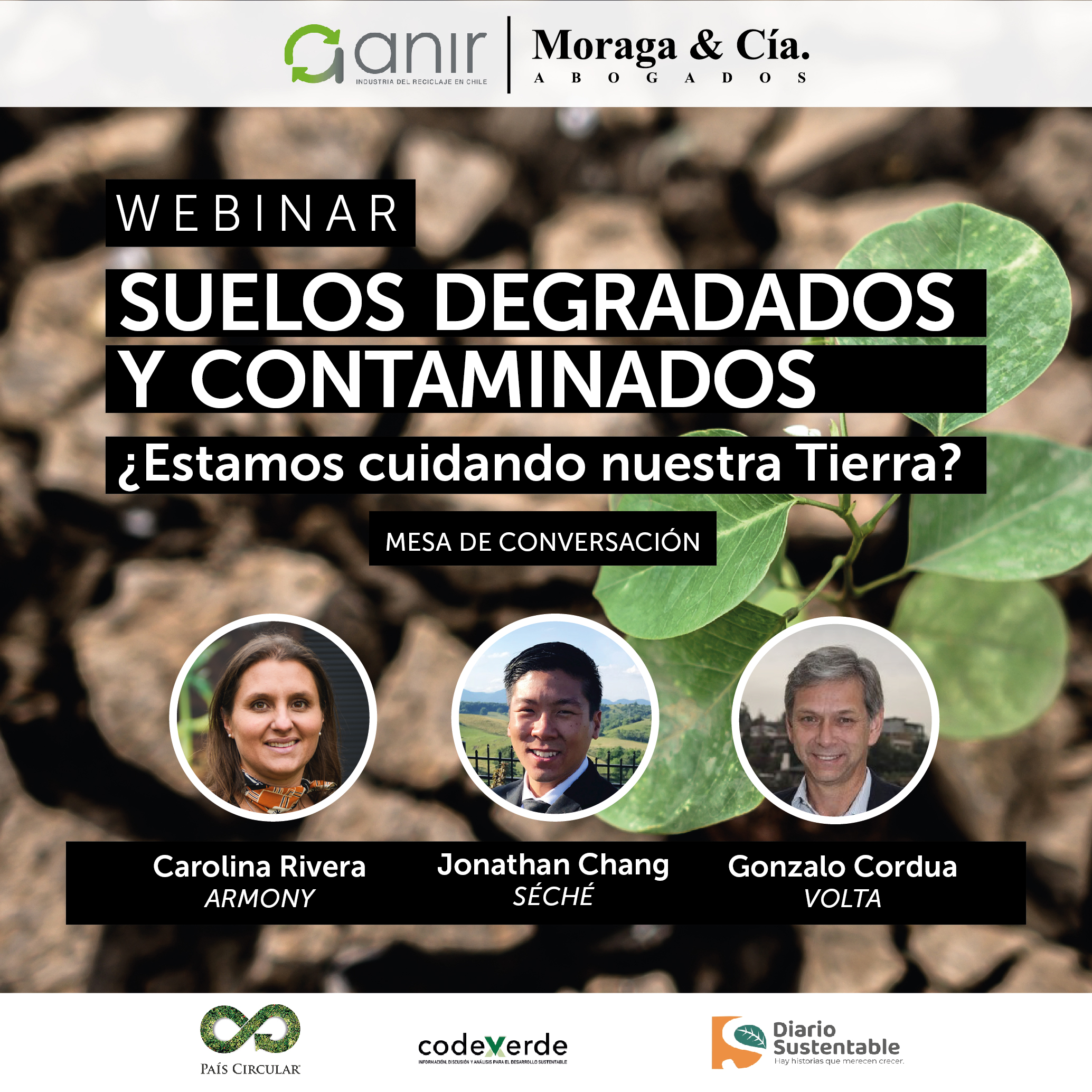 Webinar participacion Seche Group Chile